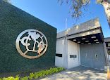Club América thumb 8